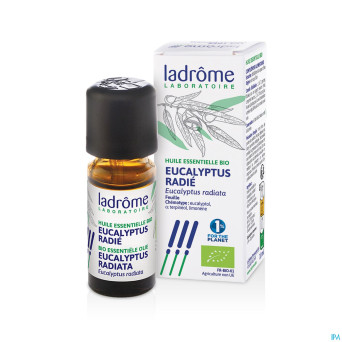 Mannavita huile ess. eucalyptus radiata 10ml