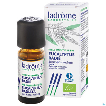 Mannavita huile ess. eucalyptus radiata 10ml