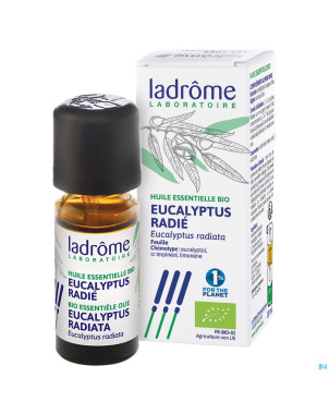 Mannavita huile ess. eucalyptus radiata 10ml