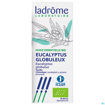Mannavita huile ess. eucalyptus globulus 10ml