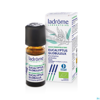 Mannavita huile ess. eucalyptus globulus 10ml