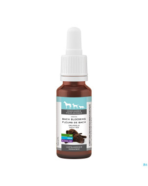 Fleurs de bach animaux indolence gouttes    20ml