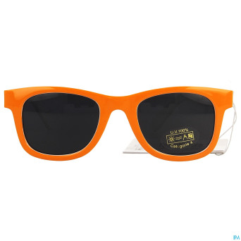 Optique lunette sol. zanimaux renard 2-4a horizane