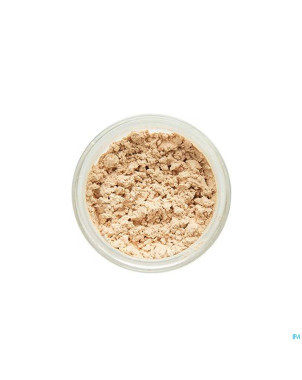 Cent pur cent poudre mini    2g