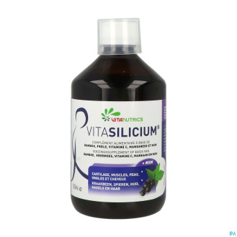 Vitasilicium fl 500ml