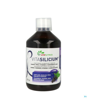 Vitasilicium fl 500ml