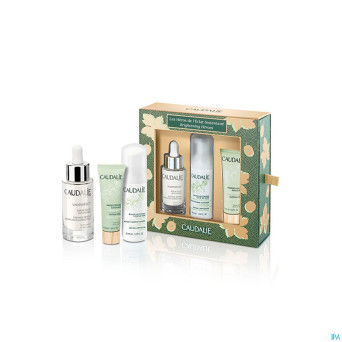Caudalie noel coffret vinoperfect