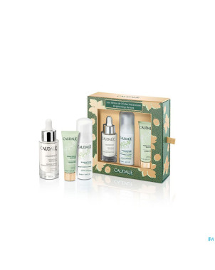 Caudalie noel coffret vinoperfect