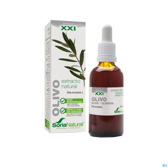 Olea europaea xxi extr. fl.   50 ml