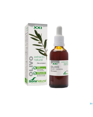 Olea europaea xxi extr. fl.   50 ml