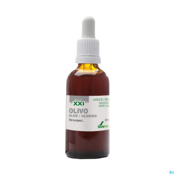 Olea europaea xxi extr. fl.   50 ml