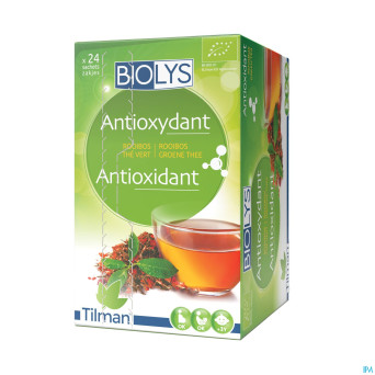 Biolys rooibos the vert    sach 24