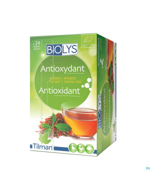 Biolys rooibos the vert    sach 24