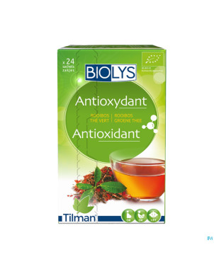 Biolys rooibos the vert    sach 24