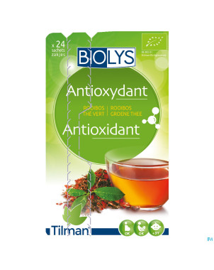 Biolys rooibos the vert    sach 24