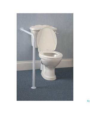 Appuitoilette + fixation au sol mur ringwood