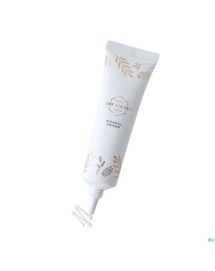 Cent pur cent primer minerale    25g nf