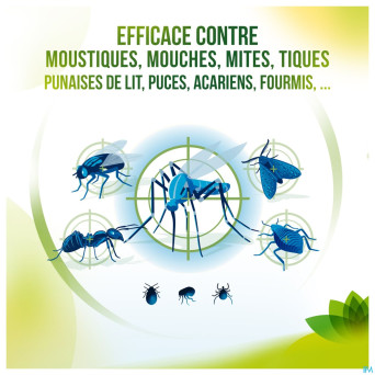 Pistal maison inodore spray 300ml