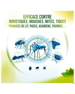 Pistal maison inodore spray 300ml