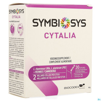 Cytalia symbiosys    sticks 30