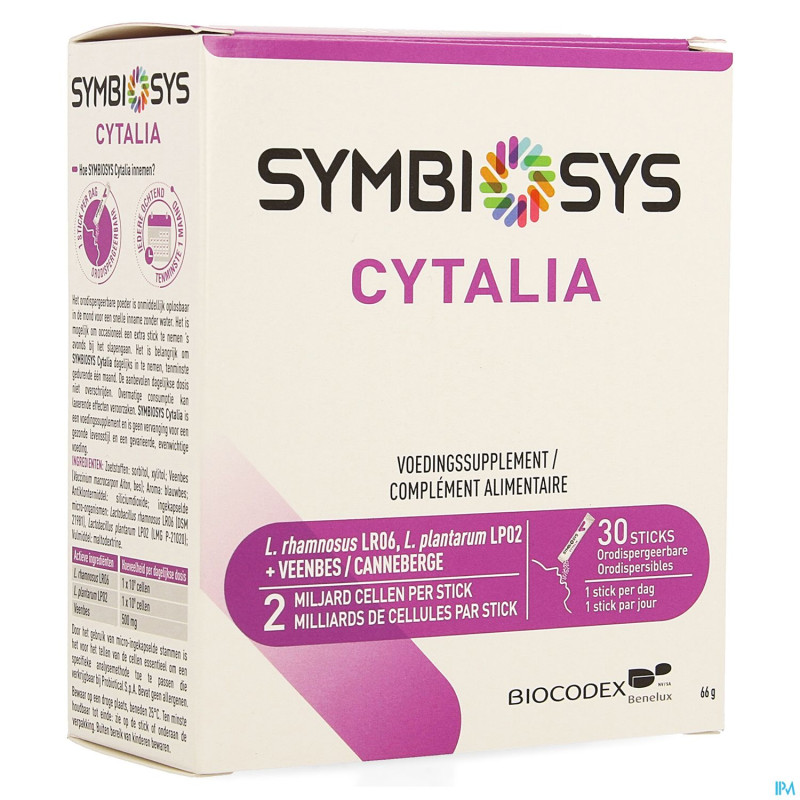 Cytalia symbiosys    sticks 30