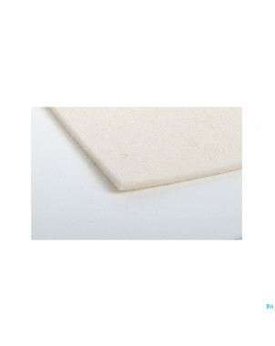 Fresco feutre 5mm consulta