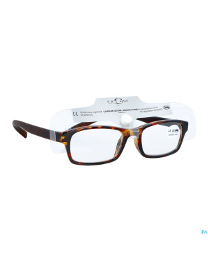 Cartel loupe lecture riva 1.0 asie