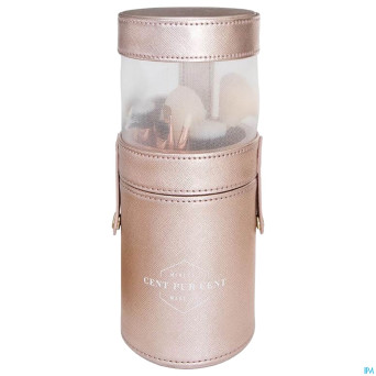 Cent pur cent tube pinceau