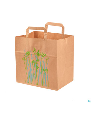 Sac papier brun fleurs    26+17x25cm 250 aca