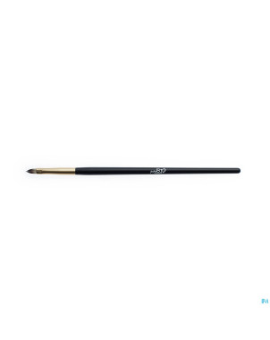 Purobio pinceau 06    4,7g