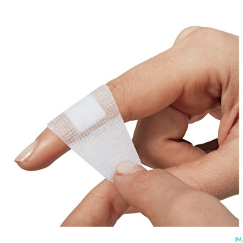 Nexcare 3m strong hold assortis 20