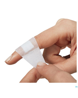 Nexcare 3m strong hold assortis 20