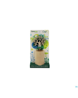Careway aroma t diffuseur capi bois