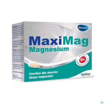 Maximag magnesium    comp gastroresist.  60