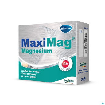 Maximag magnesium    comp gastroresist.  60