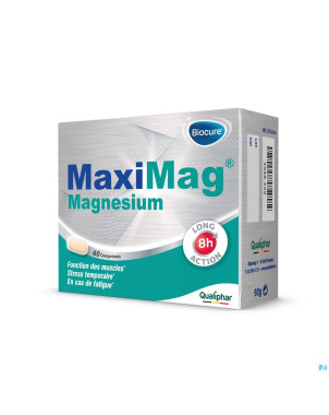 Maximag magnesium    comp gastroresist.  60