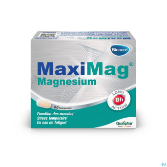 Maximag magnesium    comp gastroresist.  60
