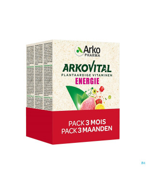 Arkovital pure energy 3mois    comp 3x30