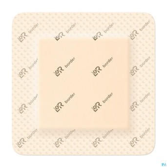 Suprasorb p sensitive border 10x10cm 10 139061