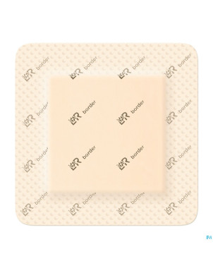 Suprasorb p sensitive border 10x10cm 10 139061