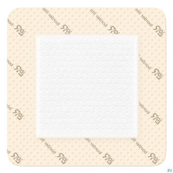 Suprasorb p sensitive bord. lite 10x10cm 10 139083