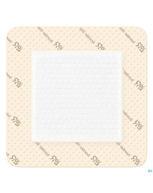 Suprasorb p sensitive bord. lite 10x10cm 10 139083