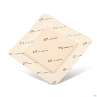 Suprasorb p sensitive bord. lite 10x10cm 10 139083