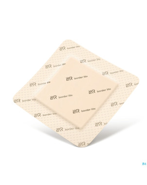 Suprasorb p sensitive bord. lite 10x10cm 10 139083