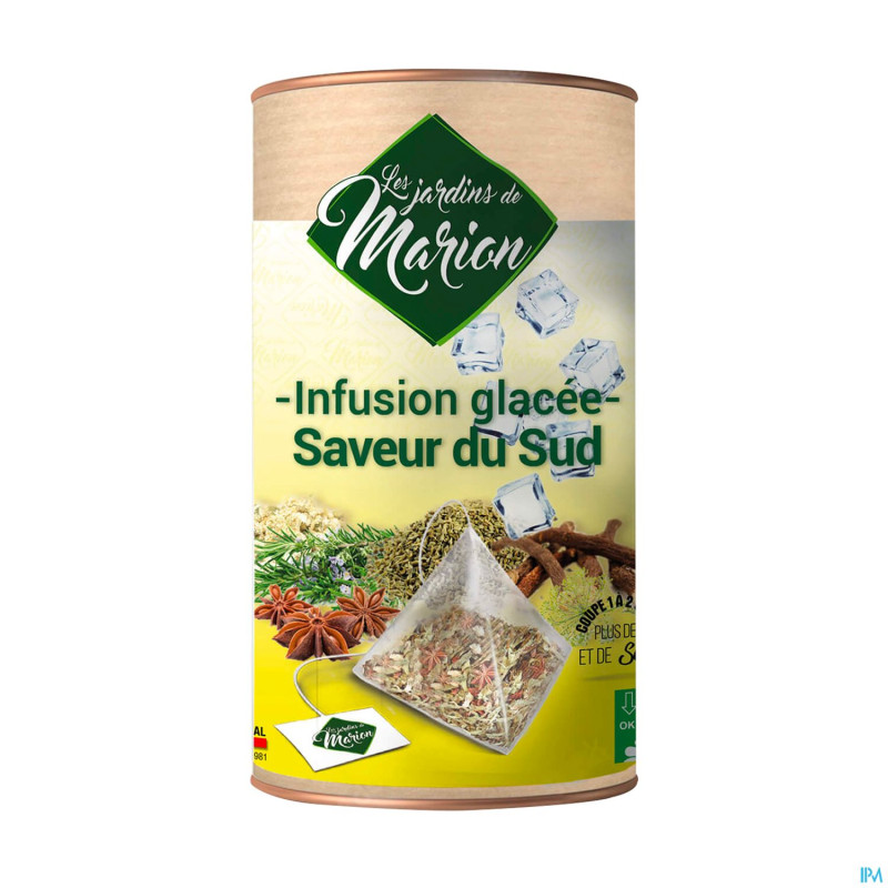 Infusion glacee saveur sud pyramides 12