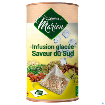 Infusion glacee saveur sud pyramides 12