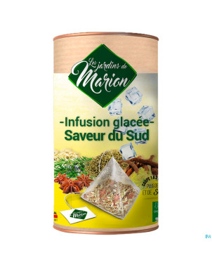 Infusion glacee saveur sud pyramides 12