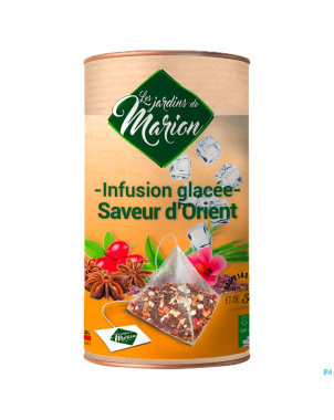 Infusion glacee saveur orient pyramides 12