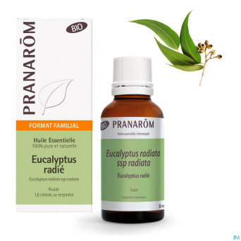 Pranarom he eucalyptus radiata bio 30ml