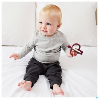 Matchstick monkey anneau dentition bordeaux